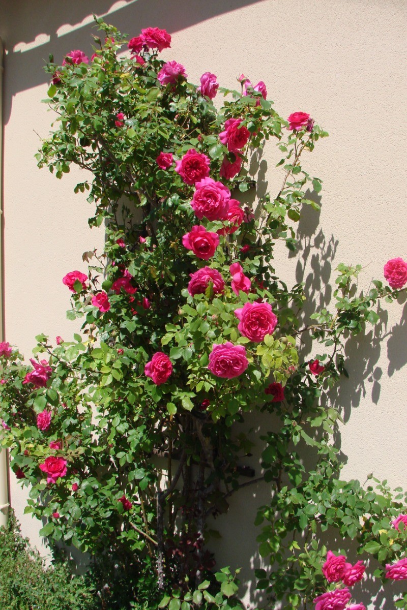 Photo n° 11 of the location