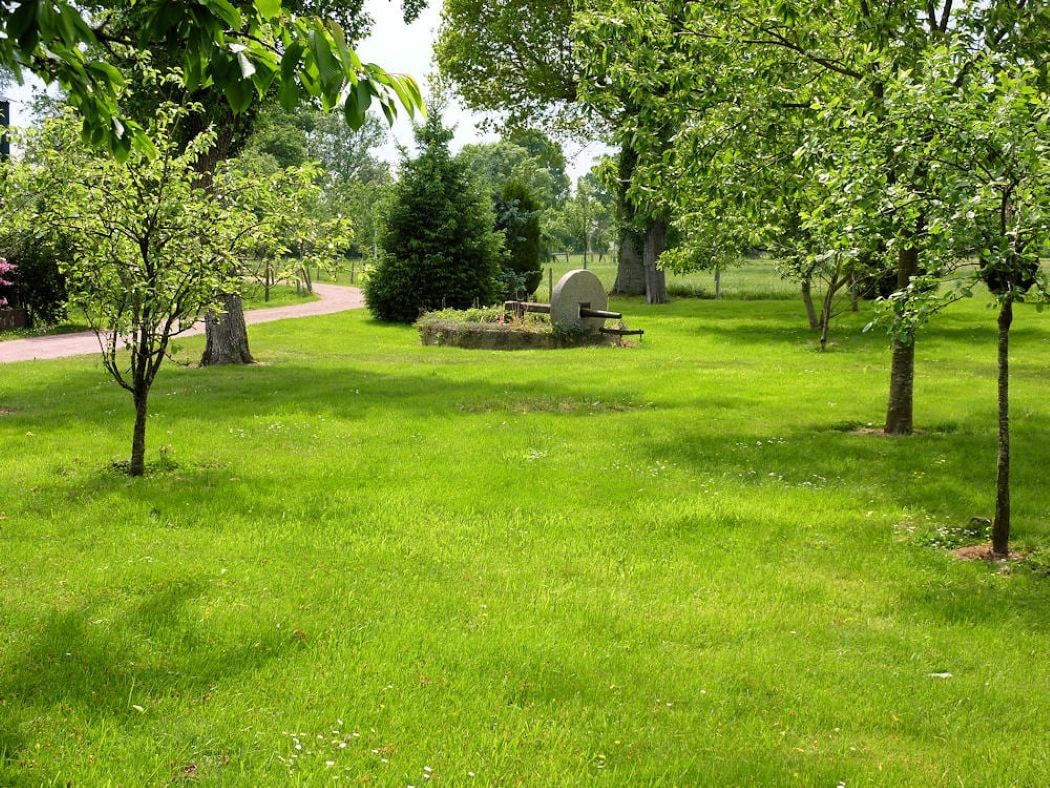 Jardin