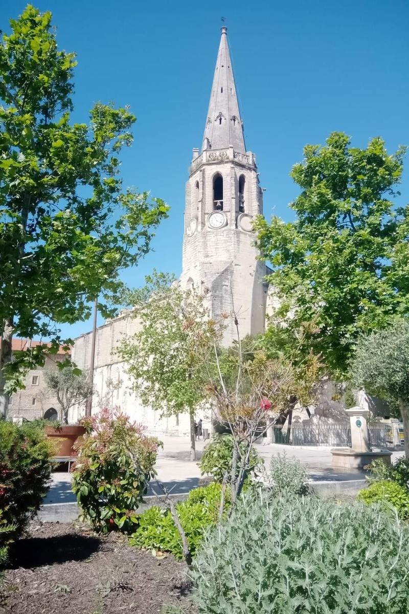 Photo n° 13 de la location