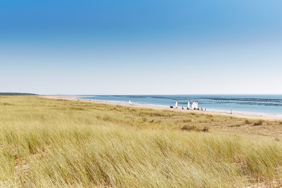 Photo n° 19 de la location