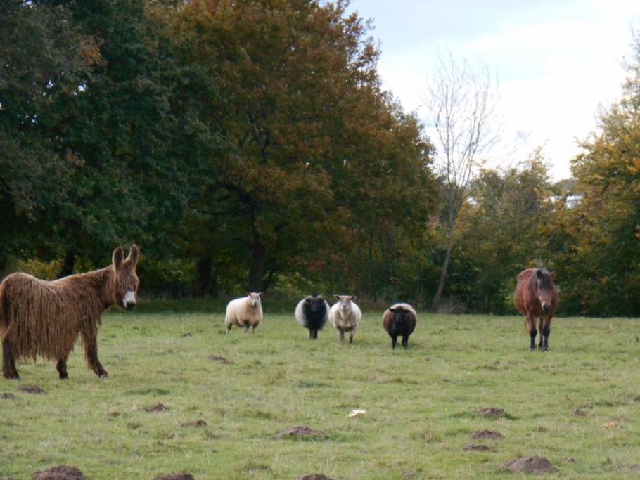 Photo n° 14 of the location