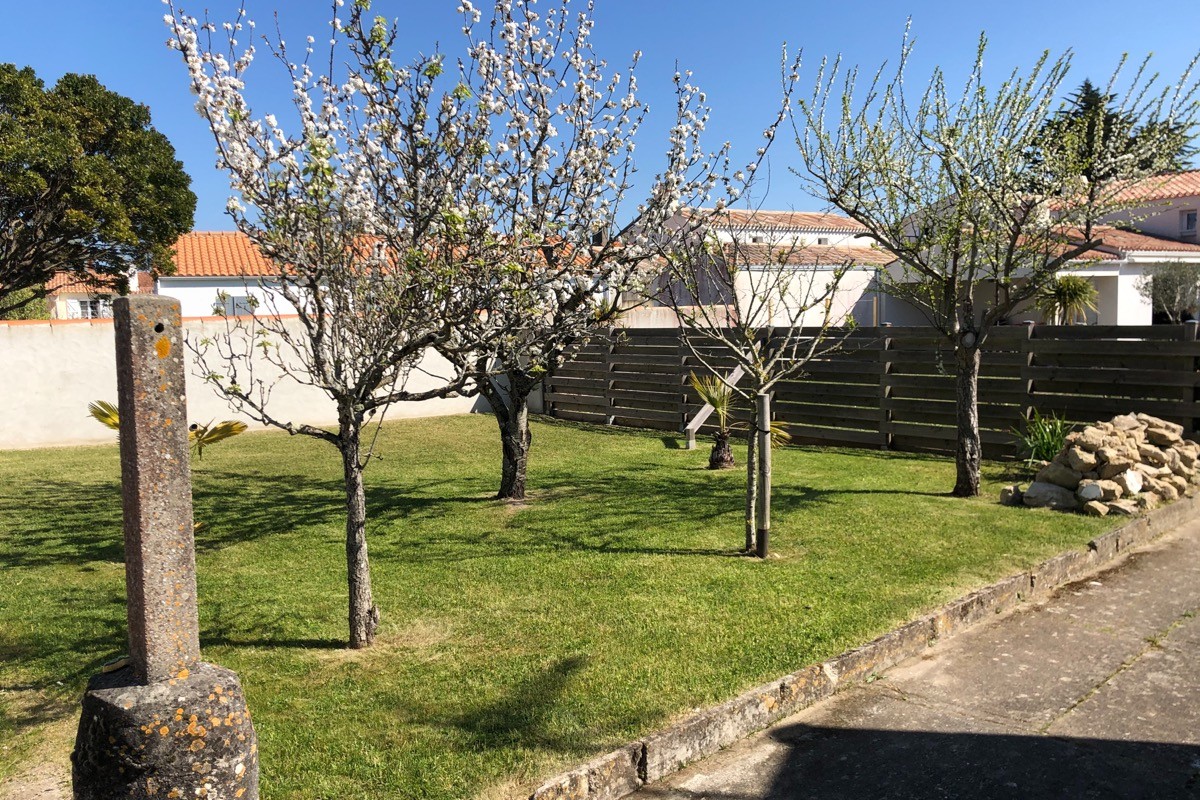 jardin