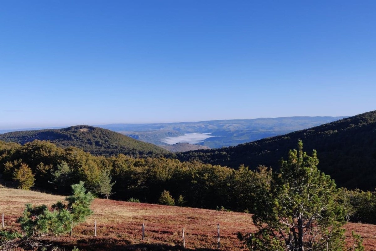 Presque à l'Aigoual