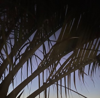 Photo n° 12 de la location