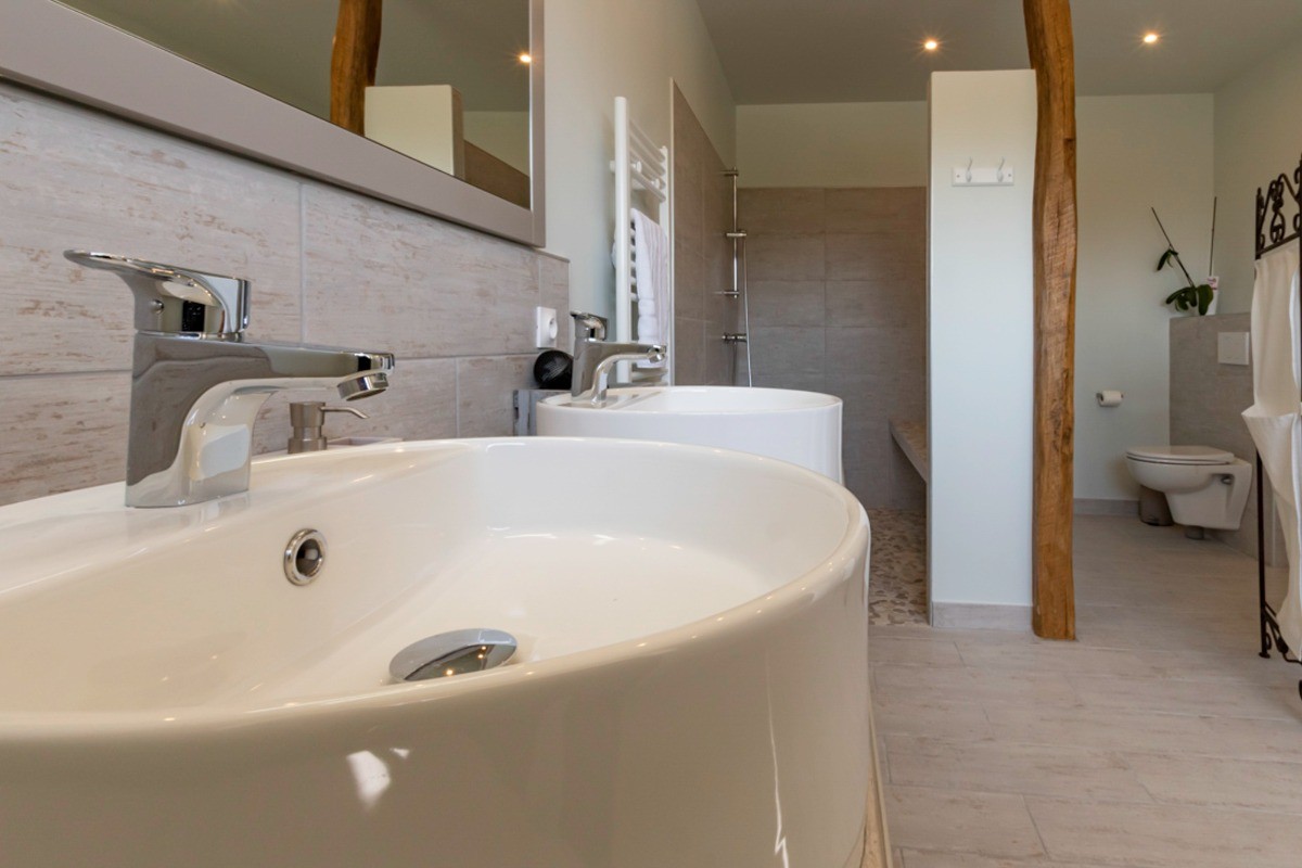 Salle de bain Léontine au Gite Entre Terres et Vignes à Châtillon sur Morin en Champagne