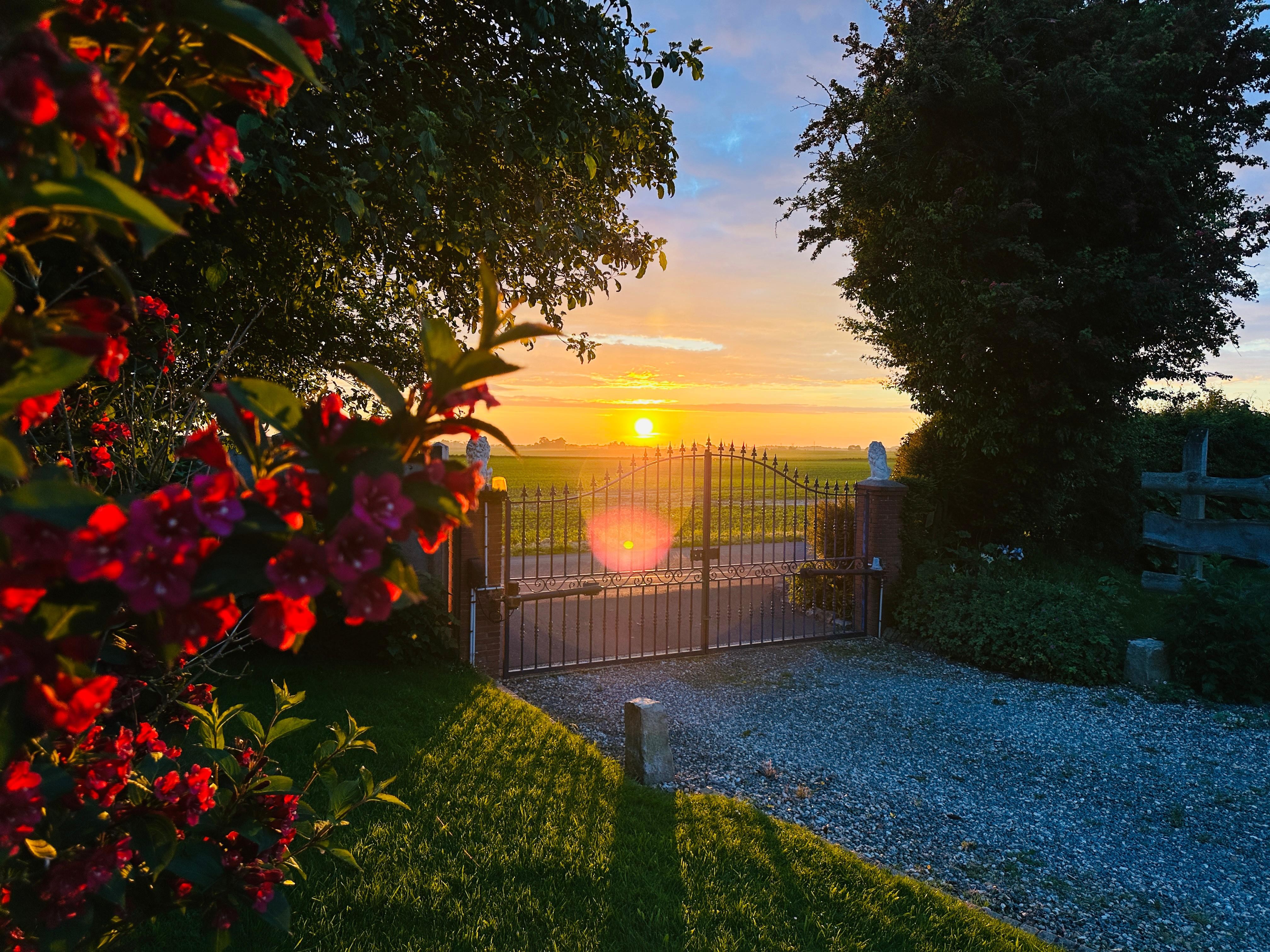 couché de soleil au Clos Brayon