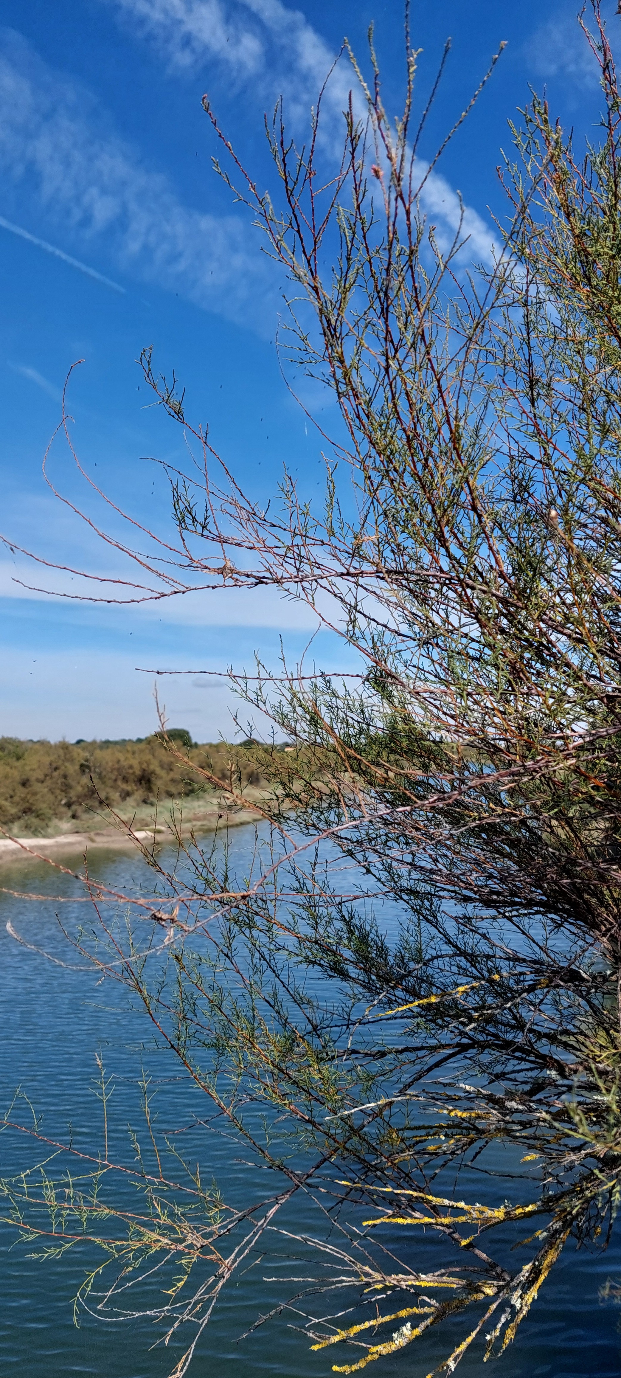 Marais salants