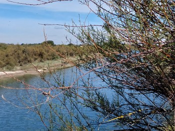 Marais salants