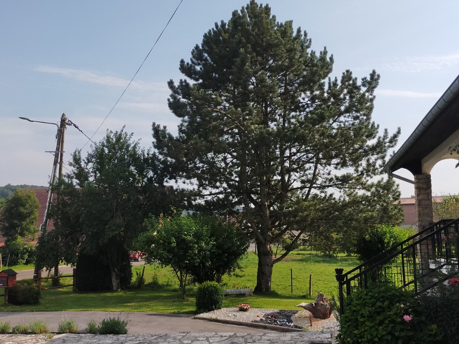 Extérieur 4