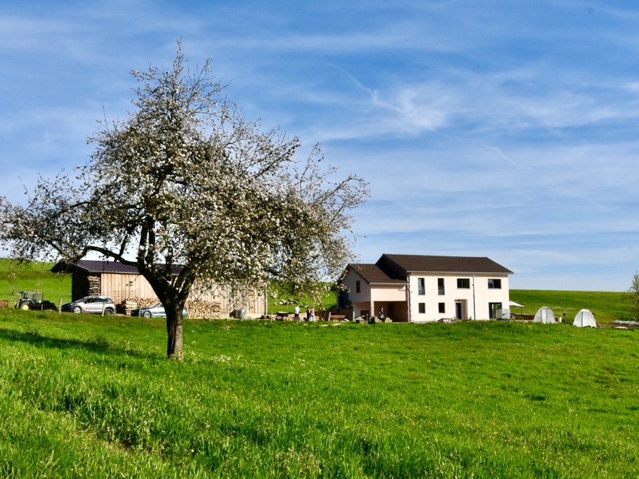 Location en rez de jardin - Chez Louis