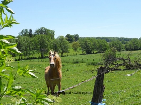 Photo n° 19 de la location