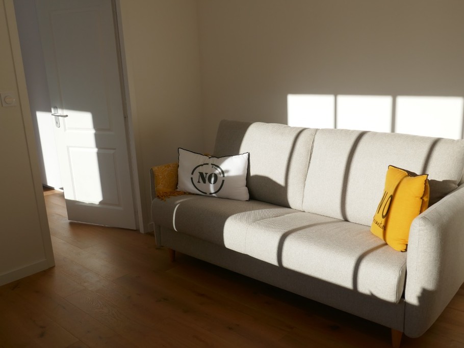 Pièce traversante avec un canapé convertible en 160