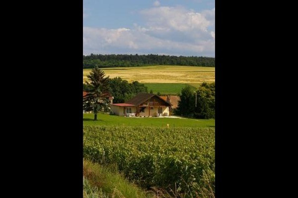 Le gîte vu des vignes