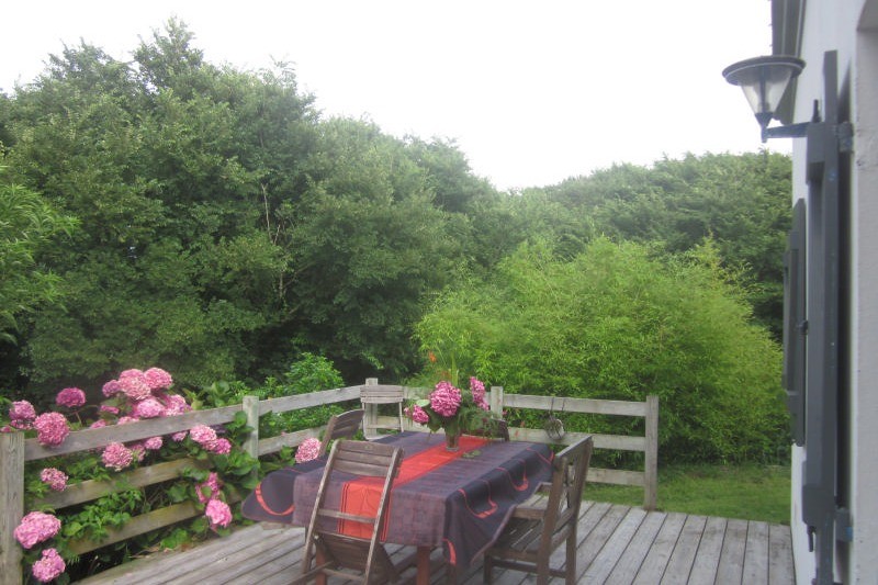 jardin vu de la terrasse