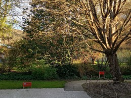 Access from the car park