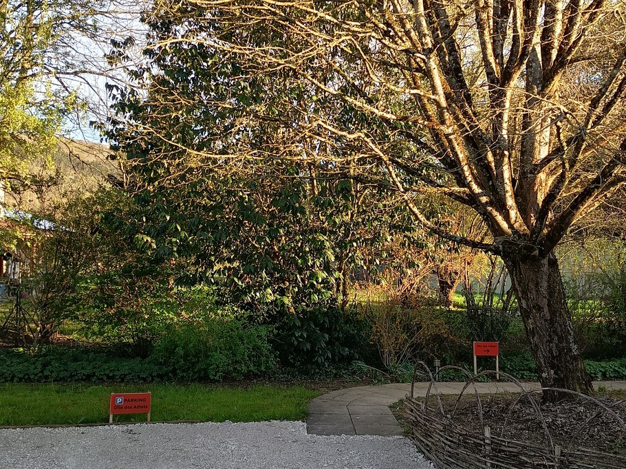 Access from the car park