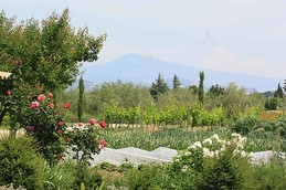 Image n° 4 de la location