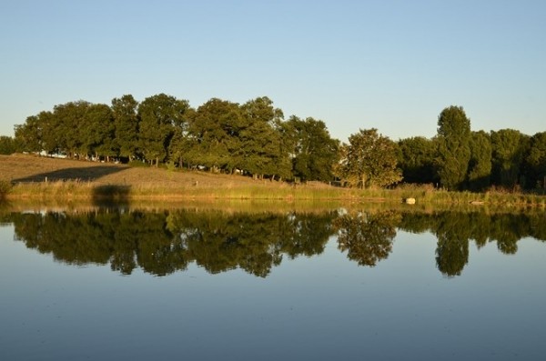 Etang sur la proprièté