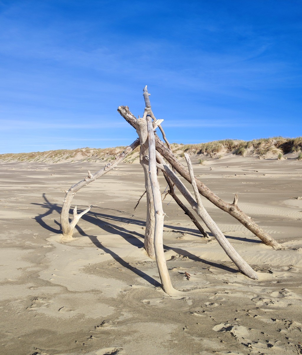La côte sauvage