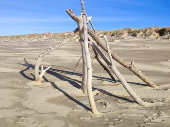 La côte sauvage
