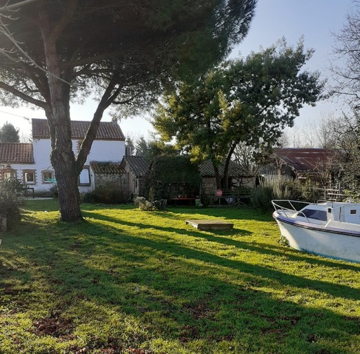 View from the garden