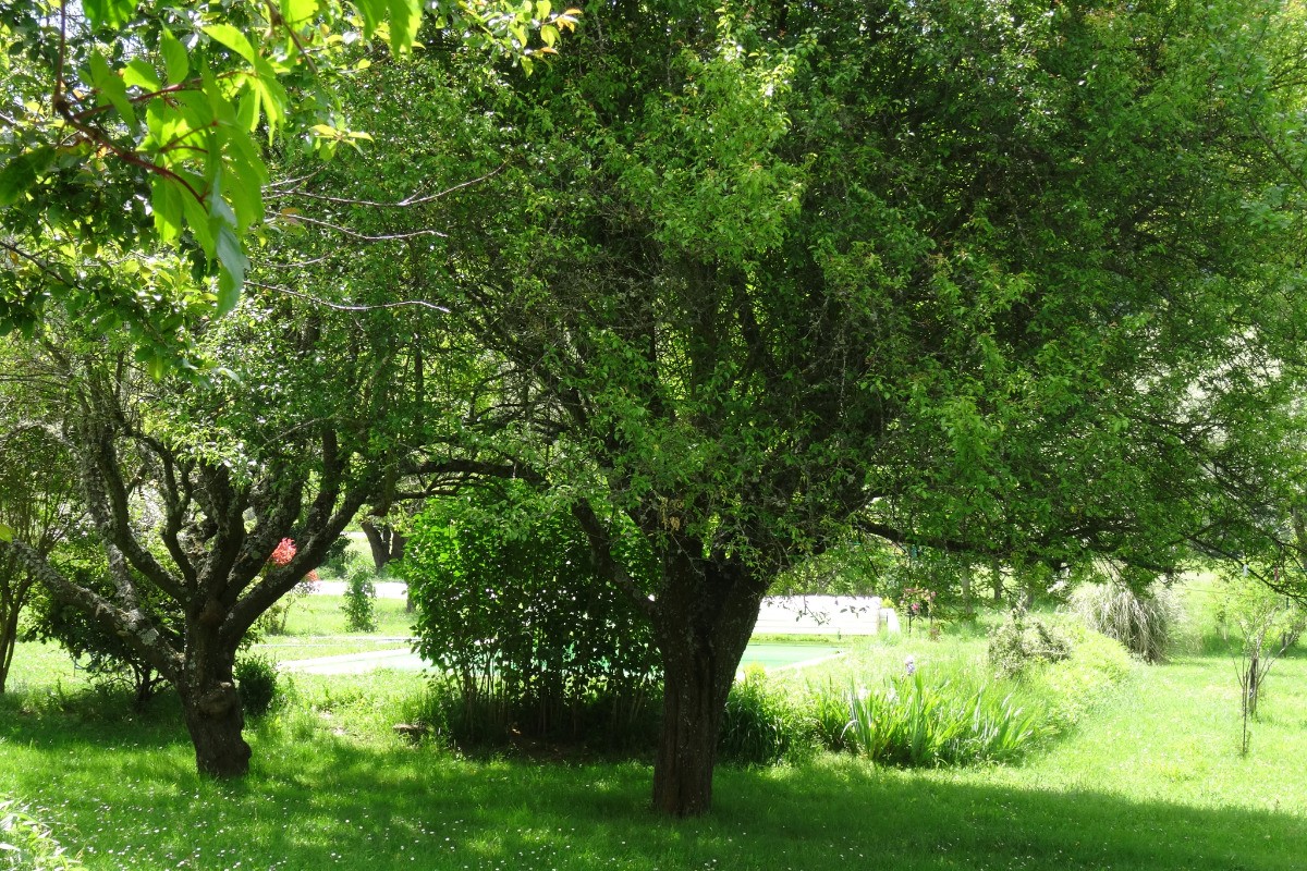 Photo n° 15 de la location