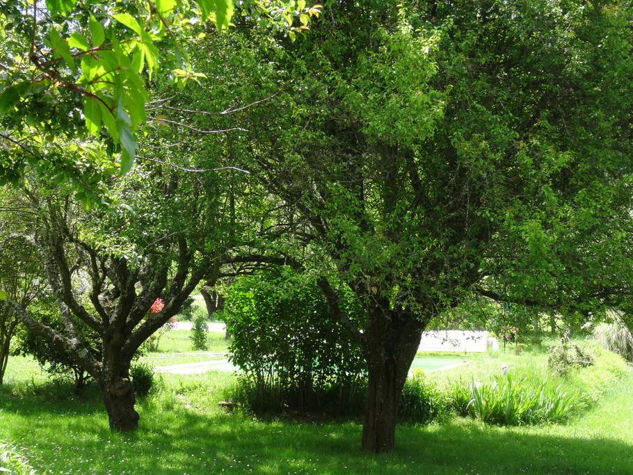 Photo n° 15 de la location