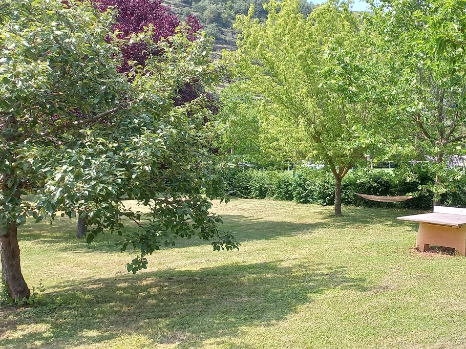 Terrain arboré