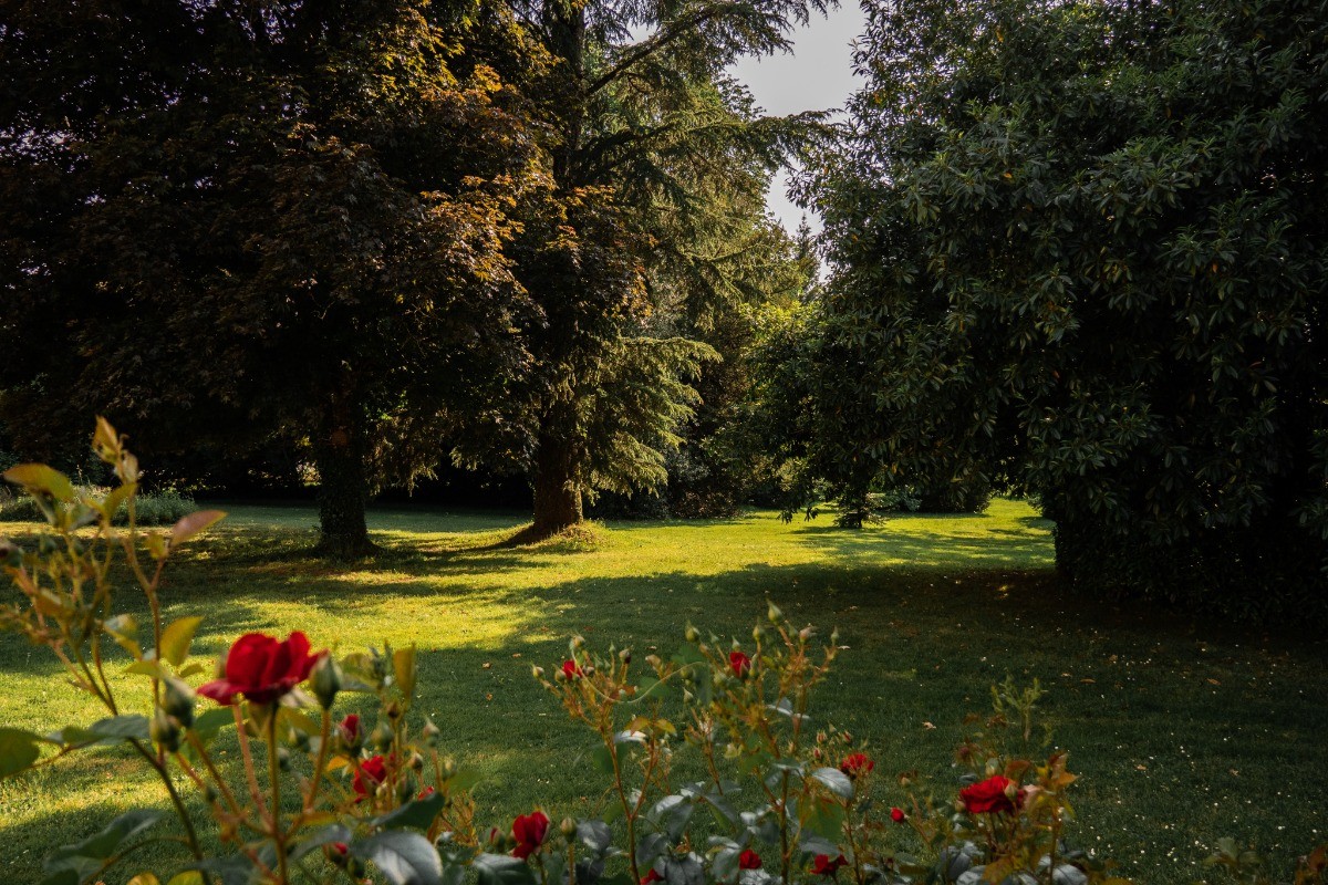 Jardin