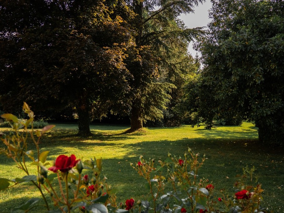 Jardin