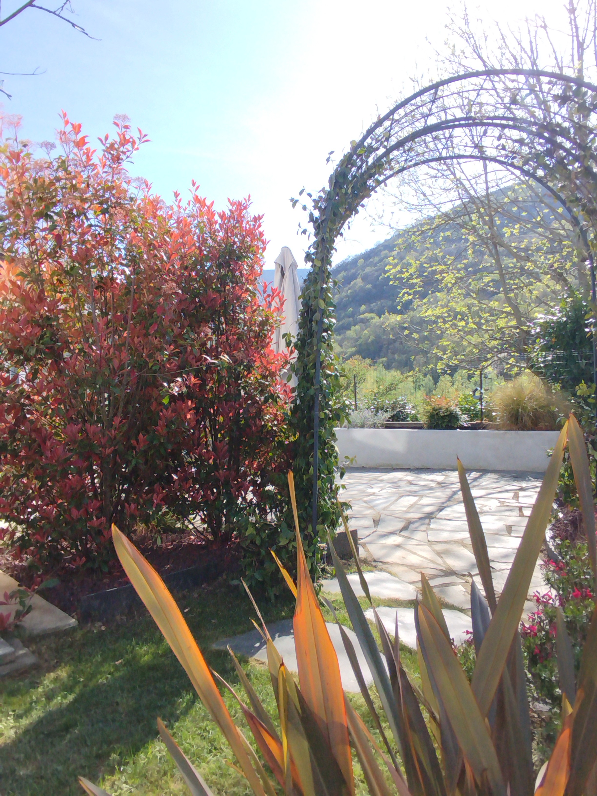 Photo n° 6 of the location