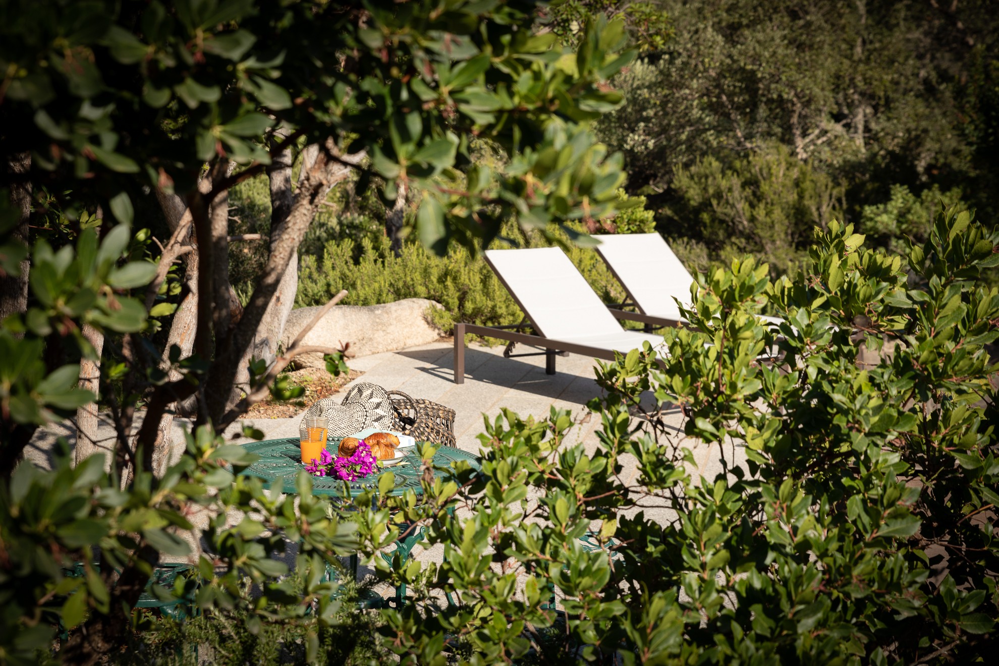 Swimming pool and terrace