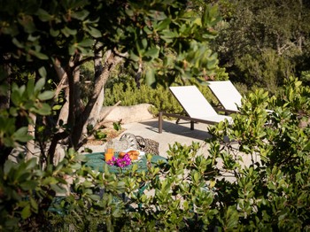Swimming pool and terrace