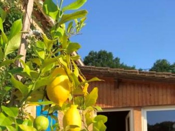 Photo n° 1 of the location