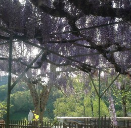 Image n° 3 de la location