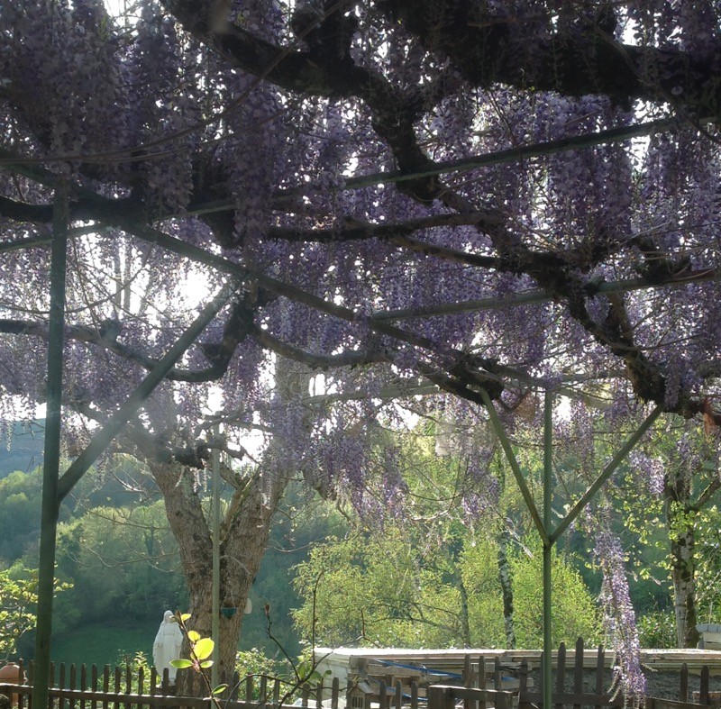 Photo n° 3 of the location