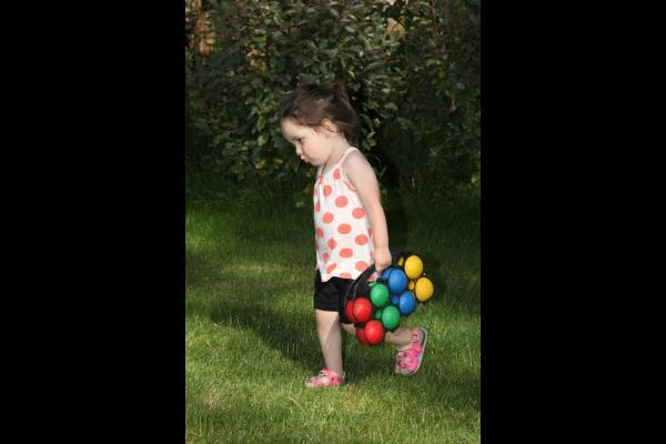 Photo n° 8 de la location