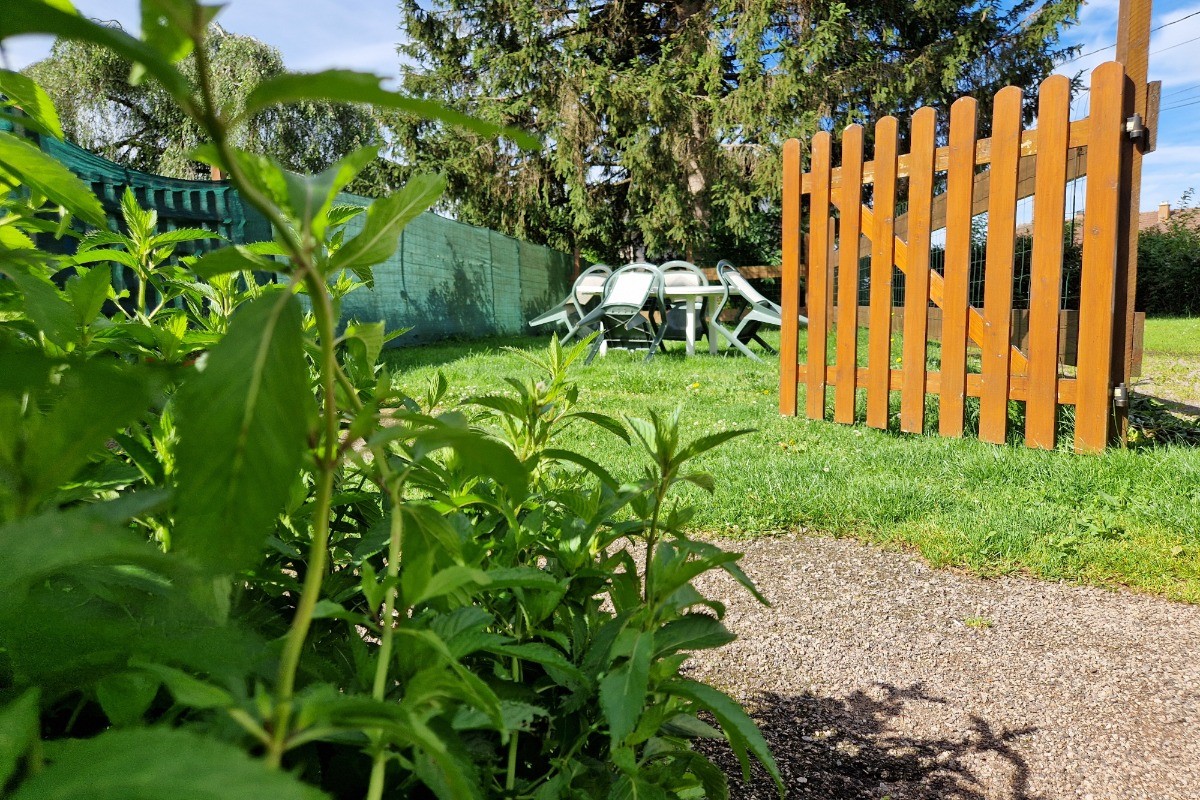 Salon de jardin - Gîte Vosgien Chez Capucine et Mirabelle à BELLEFONTAINE 88