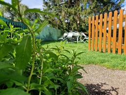 Salon de jardin - Gîte Vosgien Chez Capucine et Mirabelle à BELLEFONTAINE 88