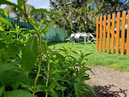 Salon de jardin - Gîte Vosgien Chez Capucine et Mirabelle à BELLEFONTAINE 88