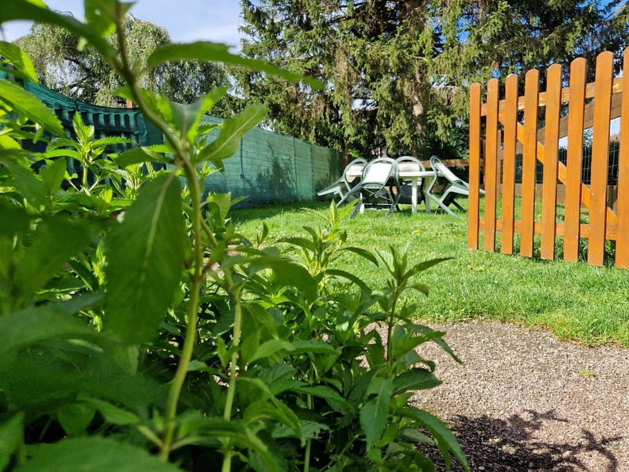 Salon de jardin - Gîte Vosgien Chez Capucine et Mirabelle à BELLEFONTAINE 88