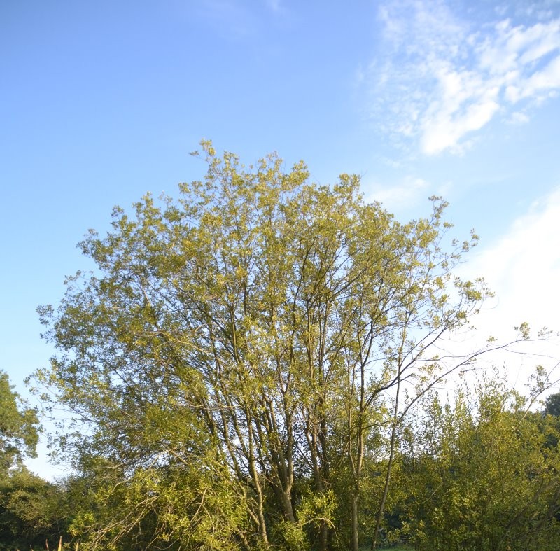 Photo n° 12 of the location