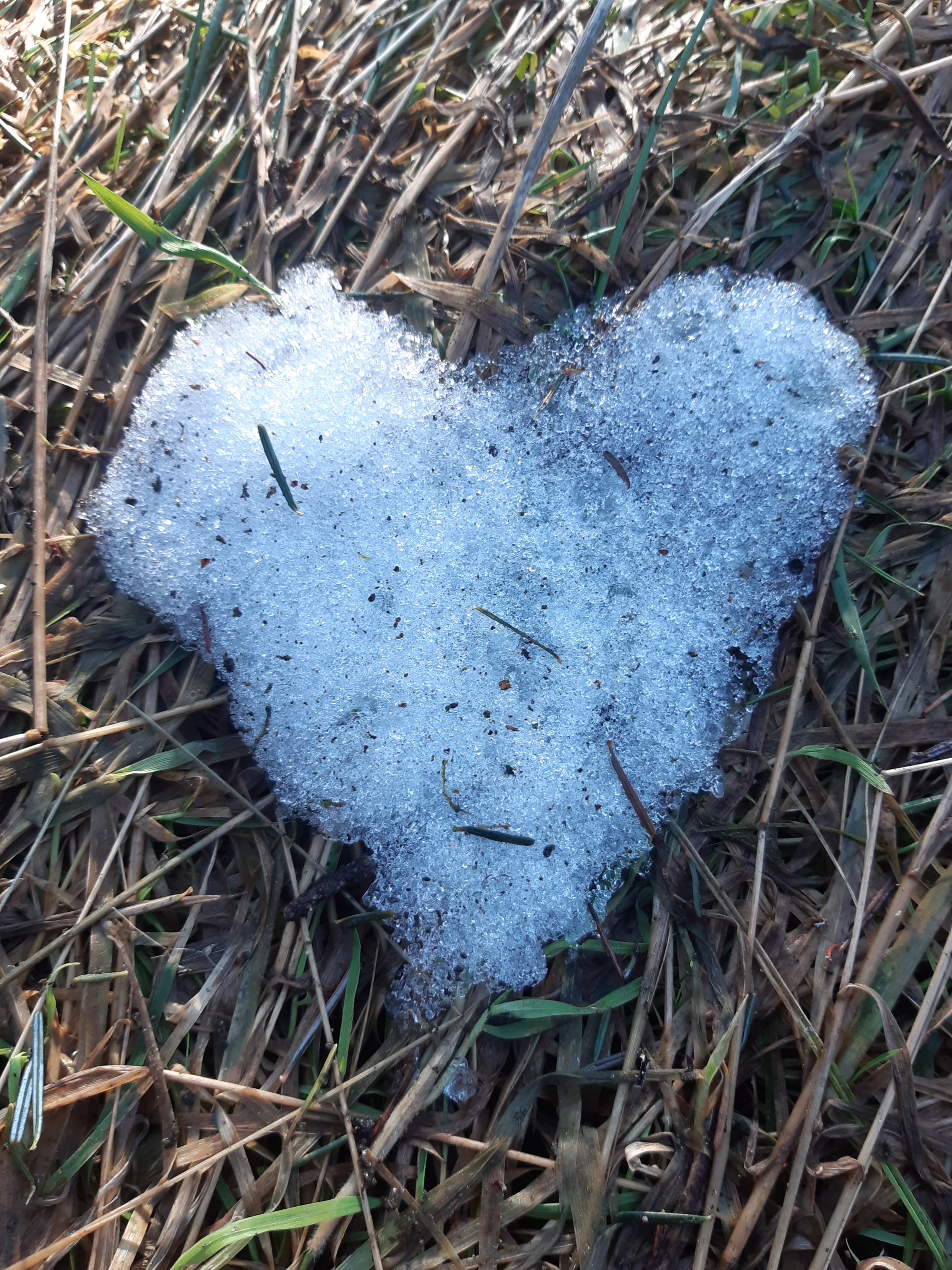 Chambre d’hôtes La Pimprenelle : repos et nature – Vosges