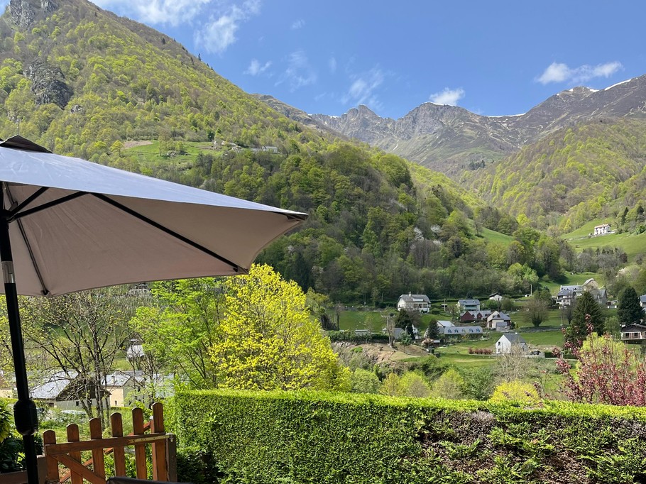 Terrasse avec transat