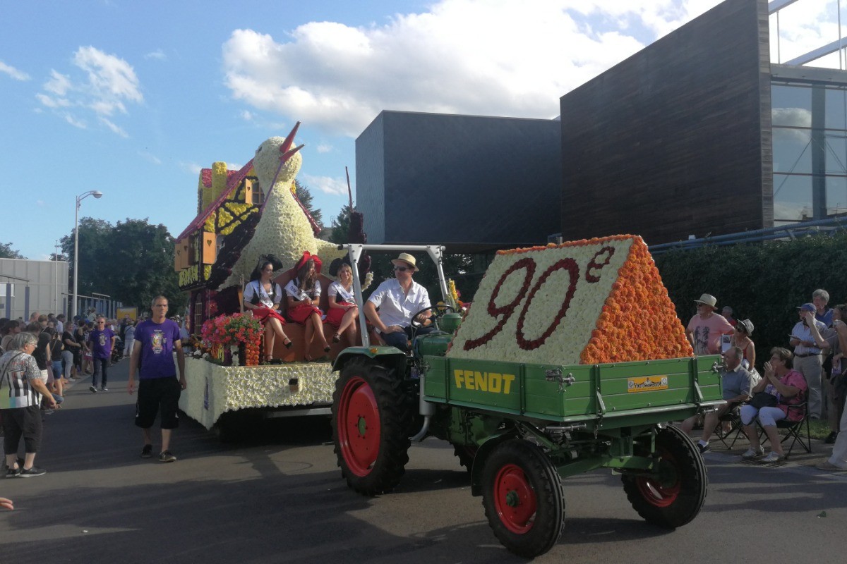 Corso Fleuri à Sélestat le premier samedi du mois d'août (7 km)