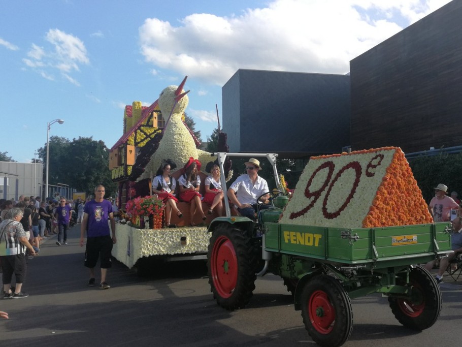 Corso Fleuri à Sélestat le premier samedi du mois d'août (7 km)