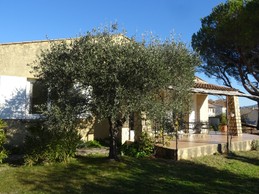 Image n° 2 de la location