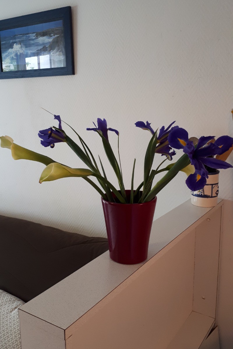 Photo n° 8 of the location