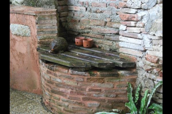 côté puits sur la terrasse