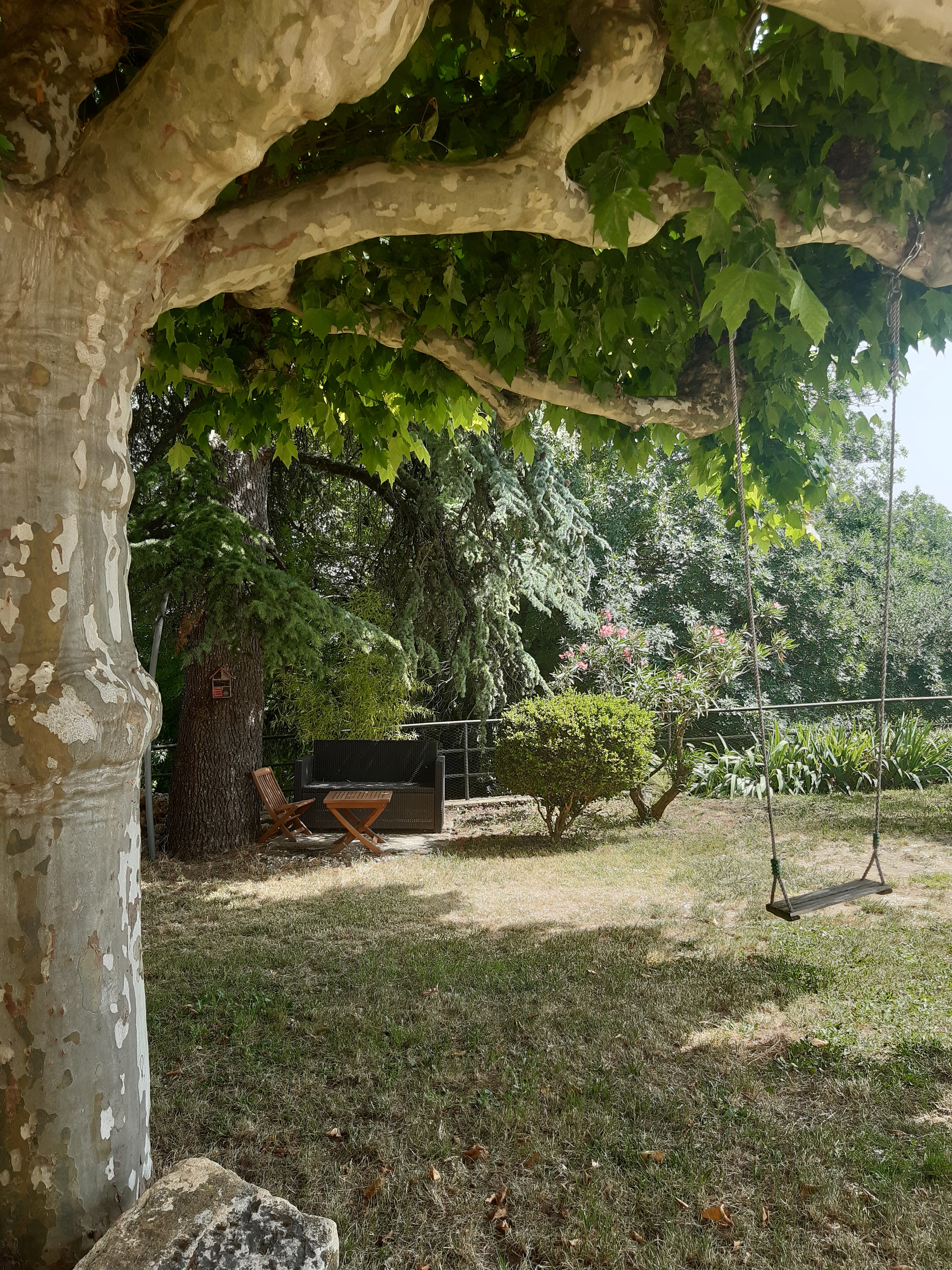 Image n° 4 de la location